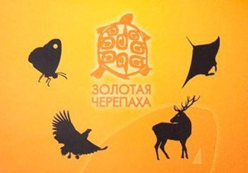 Пермь Магазин Золотая Черепаха